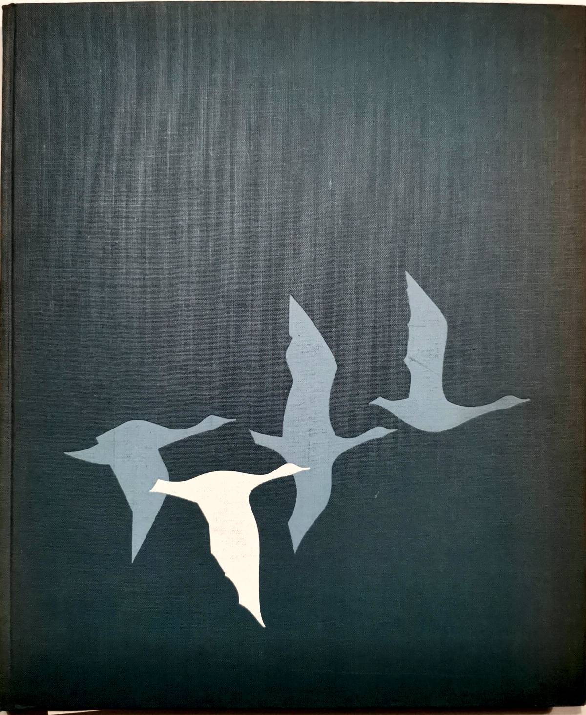 HESTRA VERLAG 6337 1