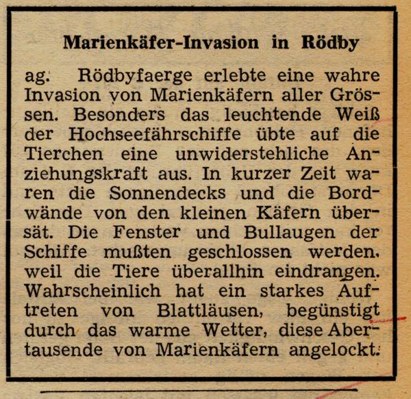 1963 08 02 Marienkaefer Invasion in Rodby